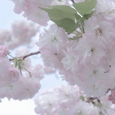 Furry原创作品欣赏兽圈社群